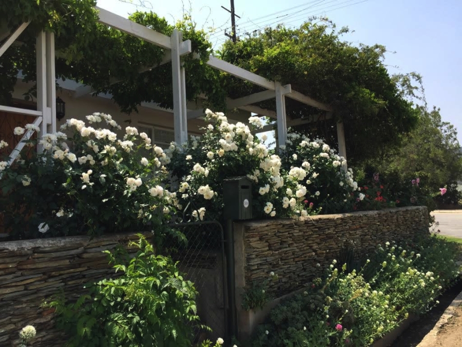 3 Bedroom Property for Sale in Barrydale Western Cape